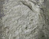 A picture of step 4 of Sunflower seeds Dip.