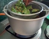A picture of step 3 of Palak Patra.