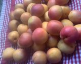Une image de l'étape 2 de 🍑ABRICOTS 🍑PANNA COTTA🍧FRUITTE.