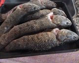Foto del paso 1 de la receta: Tarariras al horno
