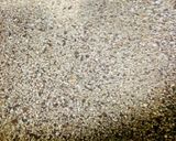 A picture of step 1 of Cinnamon tea.