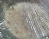 Foto del paso 2 de la receta: Facturas de mantecas 😍❤👏