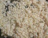 Foto del paso 3 de la receta: Arroz al horno