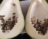Foto del paso 1 de la receta: Ensalada de papaya verde (mamón)