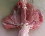 Foto langkah ke 1 dari resep Ayam Berantakan.