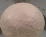 A picture of step 9 of Milk-enriched White Bread.