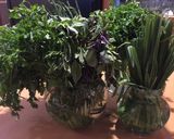عکس مرحله 1 از دستور نگهداری سبزی به روش هیدروپونیک
