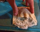 Foto del paso 4 de la receta: Arrolladitos primavera de vegetales