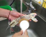 白灼澎湖野生瀨尿蝦的食譜步驟3照片