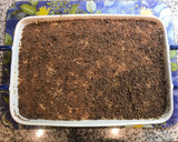 Foto del paso 8 de la receta: Tiramisú