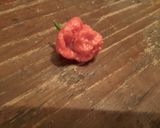 A picture of step 15 of Hot sauce (basic).