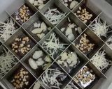 Foto langkah ke 4 dari resep Fudgy Shiny Brownies.