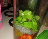 Foto langkah ke 4 dari resep Mojito Tea.