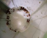Foto langkah ke 2 dari resep Mochi kacang.