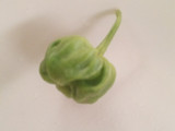 Pojo za maziwa(green grams made with milk)