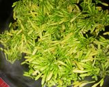 Foto langkah ke 3 dari resep Bupet (Bunga PEpaya Teri) daun singkong.