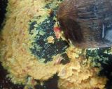 Foto langkah ke 1 dari resep Ayam kuah asam.