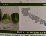 Foto del passaggio 5 della ricetta Pokè bowl mediterraneo