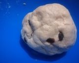 A picture of step 6 of Sausage flower bread.