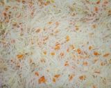 Foto langkah ke 3 dari resep Bihun goreng.