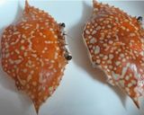 Hình bước làm 1 của món Ghẹ farci