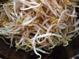 Tumis Tauge Labusiam