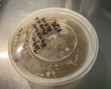 Une image de l'étape 4 de Endives braisées au bouillon de gambas, thym frais et jambon cru.