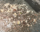 Foto del paso 4 de la receta: Pulpitos estofados