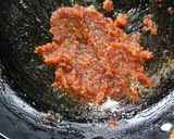 A picture of step 2 of Date Filled Sandwich Choco Chips Cookies.