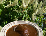 Foto del paso 9 de la receta: Mole chichilo