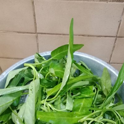 Langkah 1