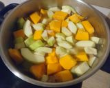 Une image de l'étape 2 de Soupe de courge.