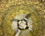 Foto del paso 2 de la receta: Salmón con costra de almendras en freidora de aire