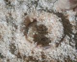 A picture of step 4 of Onion Rings.