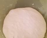 Sourdough Pizza Bread recipe step 4 photo