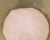 A picture of step 4 of Sourdough Pizza Bread.
