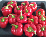 Foto del paso 1 de la receta: Pimientos rojos asados en horno