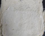 A picture of step 4 of Cheese Panner Roll.