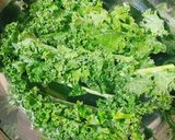 Hình bước làm 1 của món Cải Kale Xào Tỏi