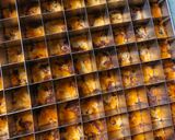 Foto langkah ke 9 dari resep Cookies Sultana.