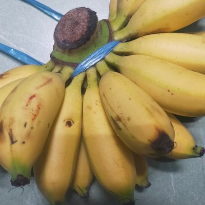 Langkah 1