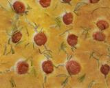 Foto do passo 4 de Focaccia