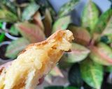 Foto langkah ke 7 dari resep Roti boy / mexican bun / coffe bun.