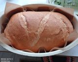 Előtésztás fehér kenyér recept fázis 6 fotója