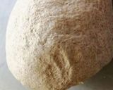 Foto del paso 3 de la receta: Pan rústico natural