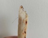 Foto langkah ke 6 dari resep 8. Otak otak bakar ikan tengiri.