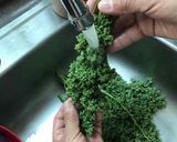 Foto del paso 2 de la receta: Huauzontle en salsa de jitomate