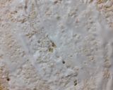 Foto del paso 10 de la receta: Pastel de tres leches