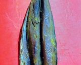 Foto del paso 12 de la receta: Bonito seco en salazón secado en las brisas del Mediterráneo