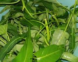 Foto langkah ke 1 dari resep Tumis kangkung.